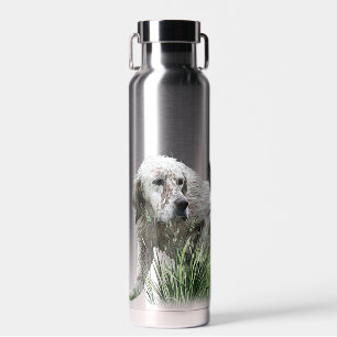 Bouteille D'eau Anglais Setter, saison de chasse
