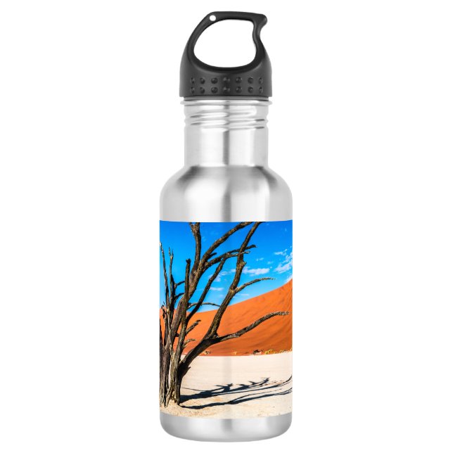 Bouteille D'eau Arbre mort à Deadvlei, Namibie (Devant)