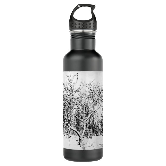 Bouteille D'eau Arbres et scène de neige, noir et blanc Stainless  (Devant)