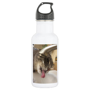 Bouteille d'eau assoiffée de chat