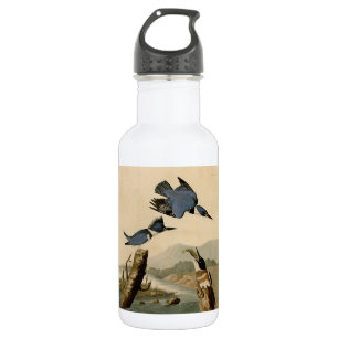 Bouteille D'eau Audubon Belted Kingfisher Wildlife Bird