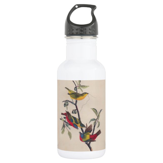 Bouteille D'eau Audubon Peint Bunting Bird Wildlife (Devant)