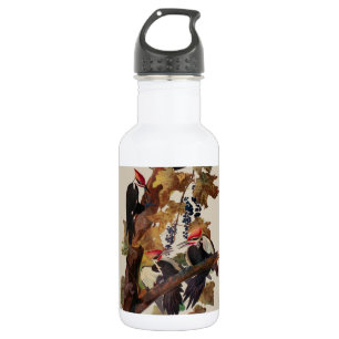 Bouteille D'eau Audubon Peinture d'Oiseaux Pic Pilé
