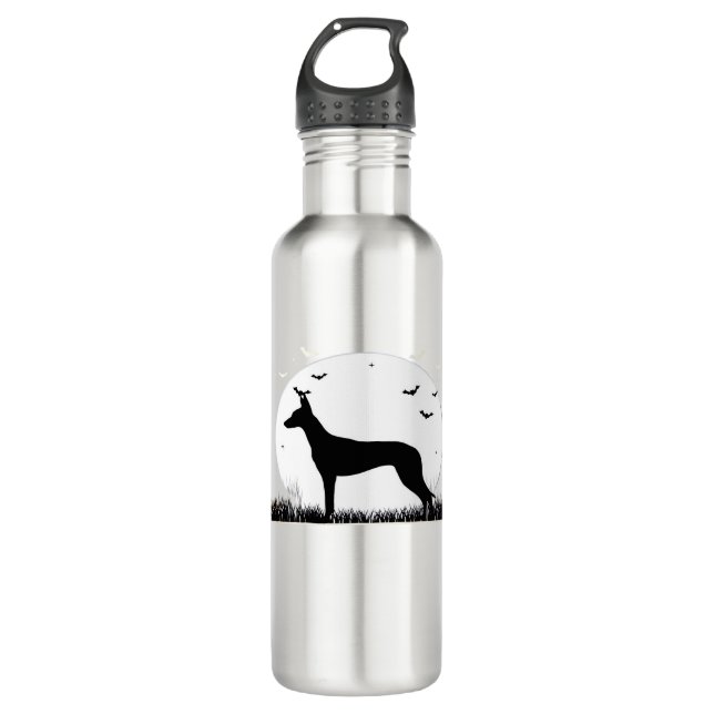 Bouteille D'eau Azawakh Chien - Halloween Lune Silhouette Classiqu (Devant)