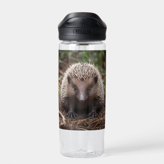 Bouteille D'eau Baby Australian Echidna, (Arrière)