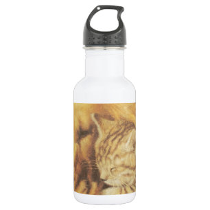 Bouteille D'eau Beau art Extraordinaire de chats et de chats de ch
