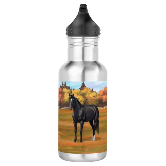 Bouteille D'eau Beau Stallion Cheval du Quartier Noir (Droite)