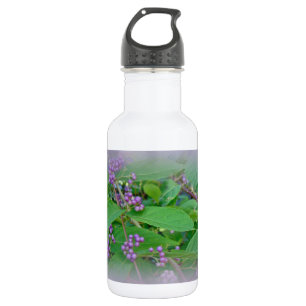 Bouteille D'eau Belle-Belle américaine (Callicarpa americana)
