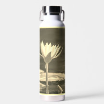 Belle fleur d'eau sépia 