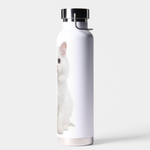 Bouteille d'eau blanche pour chats