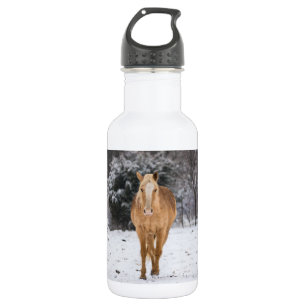 Bouteille D'eau Blonde Horse Marcher Dans L'Eau Acier Inoxydable D