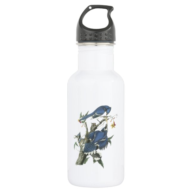 Bouteille D'eau Blue Jay par Audubon (Devant)