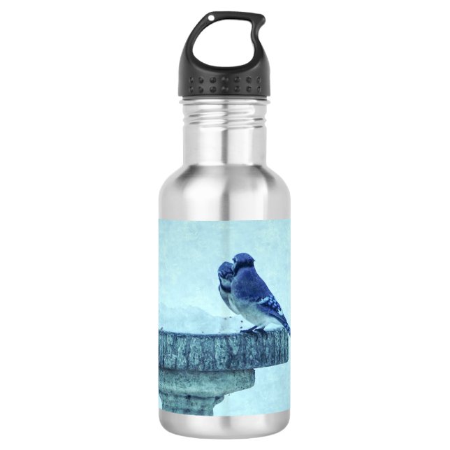 Bouteille D'eau Blue Jays Winter Nourriture Painterly Acier Inoxyd (Devant)