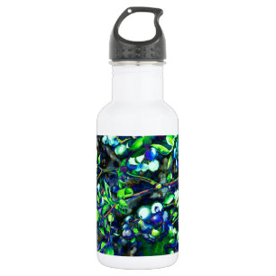 Bouteille D'eau Blueberry - teinte verte