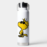 Bouteille D'eau Bois En Lunettes De Soleil<br><div class="desc">Jetez un oeil à ce design super mignon avec des lunettes de soleil cool Woodstock sport.</div>