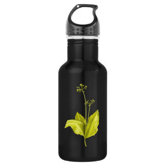 Bouteille D'eau Botanique d'ail sauvage Plante vert