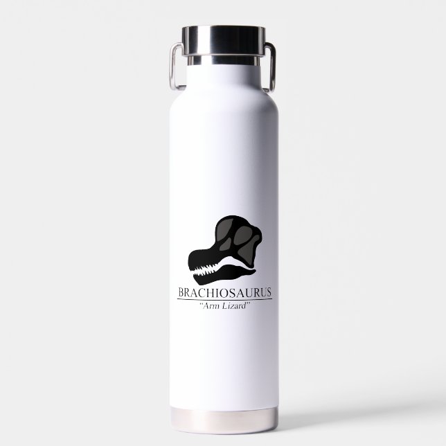Bouteille D'eau Brachiosaurus (Avant)