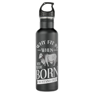 Bouteille D'eau Brahman Bull Cattle Mini Zebu Cow Premium