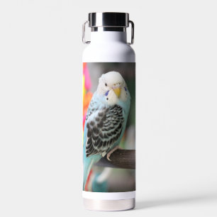 Bouteille D'eau Budgie