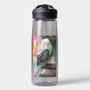 Bouteille D'eau Budgie
