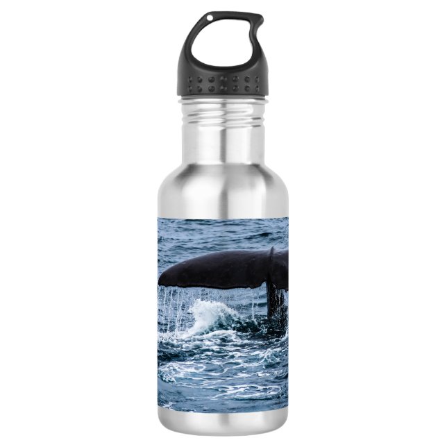Bouteille D'eau Cachalot (Devant)