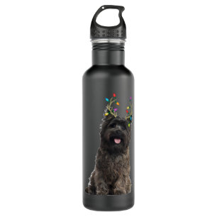 Bouteille D'eau Cairn Terrier Reindeer Christmas Dog