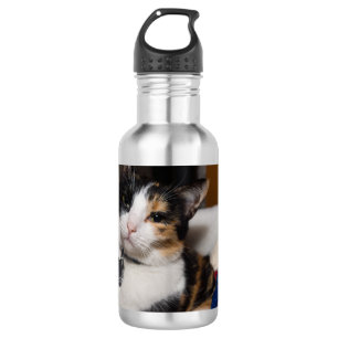 Bouteille D'Eau Calico Et Snowmen