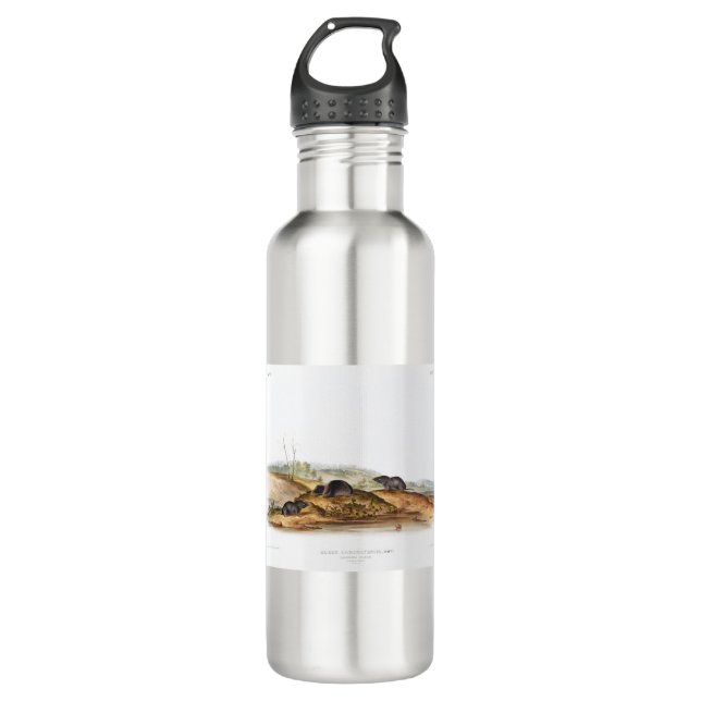 Bouteille D'eau Carolina Shrew House Souris Girl Boy Room (Devant)