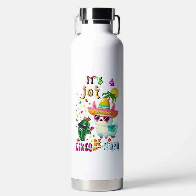 Bouteille D'eau C'est une joie Cinco De Mayo (Avant)