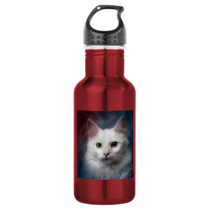 Bouteille D'eau Chat angora turc blanc rouge bleu