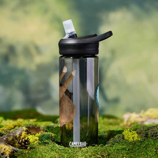 Bouteille D'eau Chat au soleil à l'envers (Extérieur)