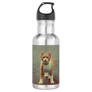 Bouteille D'eau Chat drôle avec lunettes