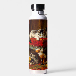 Bouteille D'eau Chat et chatons Jouer avec chaise