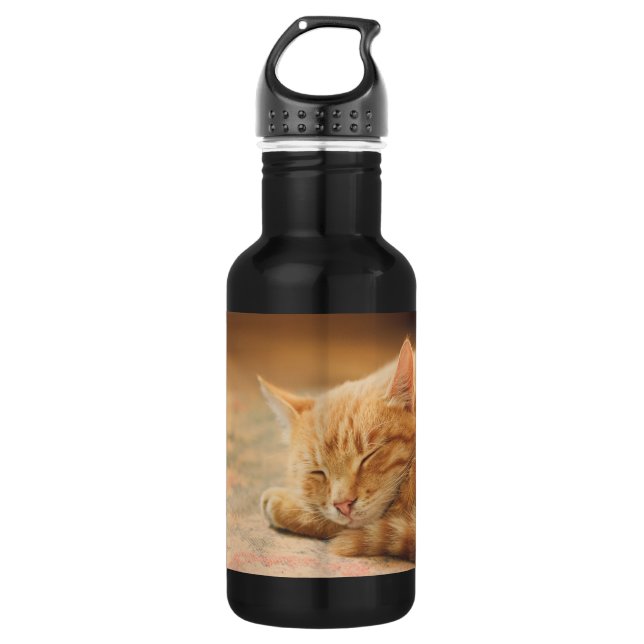 Bouteille D'eau Chat tigré orange de sommeil (Devant)