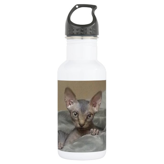 Bouteille D'eau Chaton de Spynx (Devant)