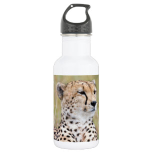 Bouteille D'eau Cheetah