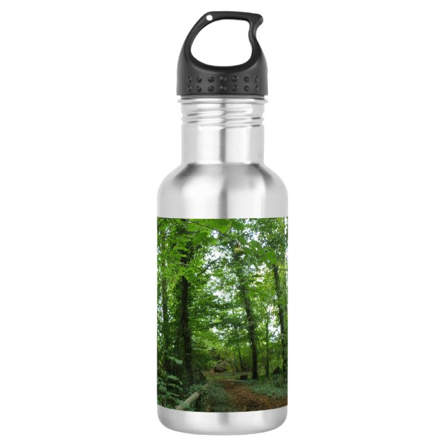 Bouteille D'eau Chemin à travers la forêt verte (Devant)