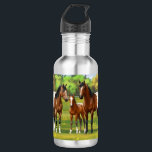 Bouteille D'eau Chevaux Appaloosa De Baie Brown En Pâturage D'Été<br><div class="desc">Une famille de chevaux de la baie appaloosa dans les pâturages d'été.</div>