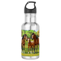 Chevaux Appaloosa De Baie Brown En Pâturage D'Été