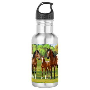 Bouteille D'eau Chevaux Appaloosa De Baie Brown En Pâturage D'Été