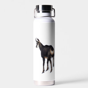 Bouteille D'eau Chèvre montagneuse minimaliste chamois alpin sur n