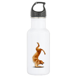 Bouteille D'eau Chien drôle
