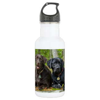 Bouteille D'eau Chiens Chiens Marionnettes Black Lab Chocolat Labr