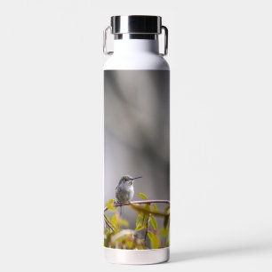 Bouteille D'eau Colibri 3346