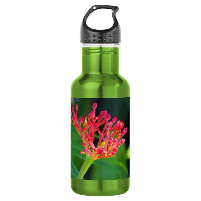 Bouteille D'eau Coral Bush en fleurs (Devant)