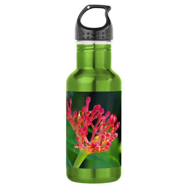 Bouteille D'eau Coral Bush en fleurs (Devant)