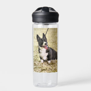 Bouteille D'eau Corgi