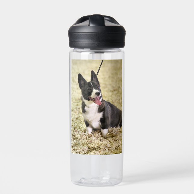 Bouteille D'eau Corgi (Extérieur)