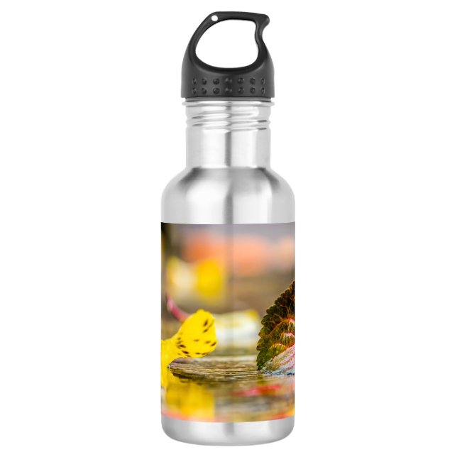 Bouteille D'eau Couleurs d'automne (Devant)