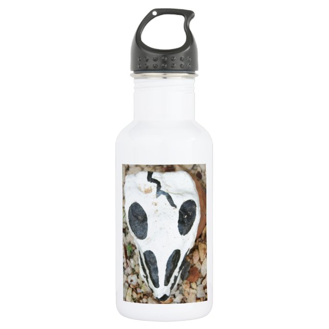 Bouteille D'eau crâne peint (Devant)